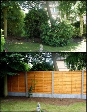THE FENCE (BEFORE AND AFTER), SAINT ALBANS